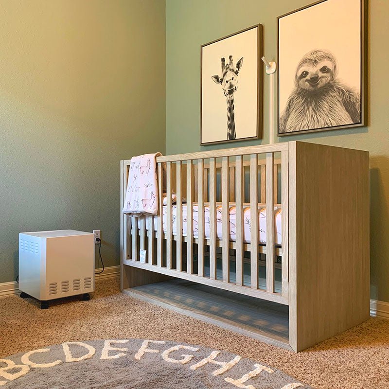 EnviroKlenz | Portable HEPA Air Purifier for Smoke, Odors and VOCs - Pure n Natural Systems