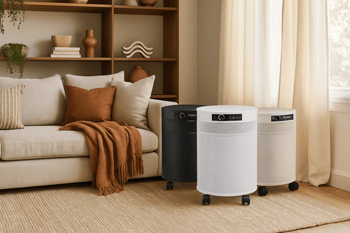 Clean Air During Cancer Treatment: What Research Says About Indoor Air Quality