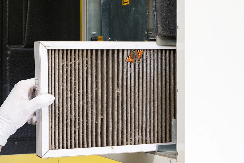 Clean Vs. Dirty Air Filter In Your Home: What’s The Difference?