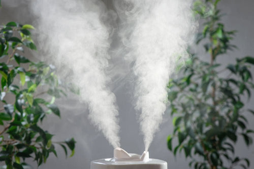 How To Control Humidity In Your Home