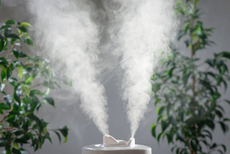 How To Control Humidity In Your Home