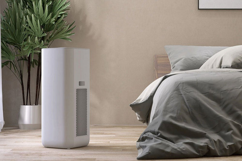 Humidifier Vs. Dehumidifier: Which One Do You Need?