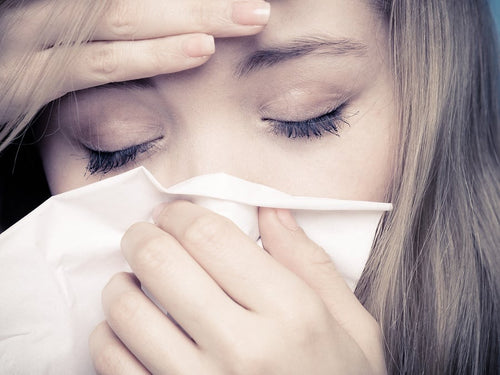 Make Travel Healthier By Avoiding Germ-Filled Airplane Hazards