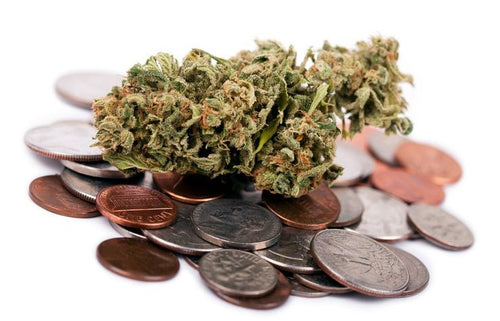 Planning for Success: 5 Tips for Building a Commercial Grow Room