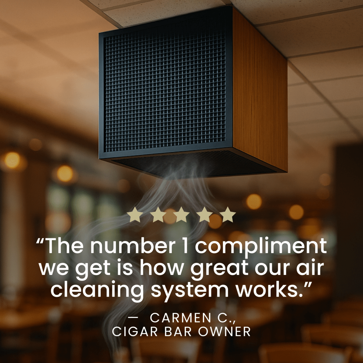 cigarette smoke extraction system Tobacco Smoke Eaters & Purifiers – Pure n Natural Systems
