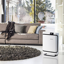 P400 Air Purifier is Perfect for Any Room in Your Home