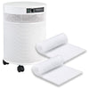 Airpura UV600 Air Purifier with Germicidal UV (white) + First Year Starter Pack