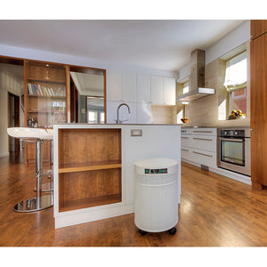 Airpura Air Purifiers - Clean, Fresh Air - Anywhere in your home!