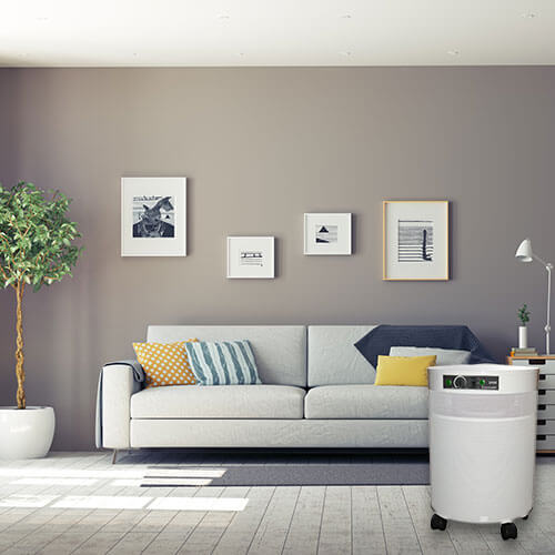 Airpura R - Series - Best General Cleaning All Purpose Air Purifier - R600 and R700 - Pure n Natural Systems
