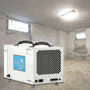Watchdog NXT60 dehumidifier is perfect for crawl spaces & basements