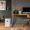 Keep your work area clean and hydrated with the BONECO H300 Air Purifier and Humidifier 