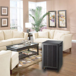 The DesignAir Portable Electronic Air Cleaner looks great in any room of your home or office!