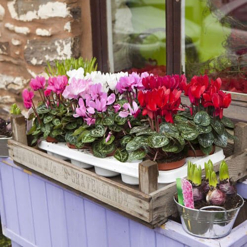 Model 2003 | Counter Top Drinking Water Filter System - Pure n Natural Systems